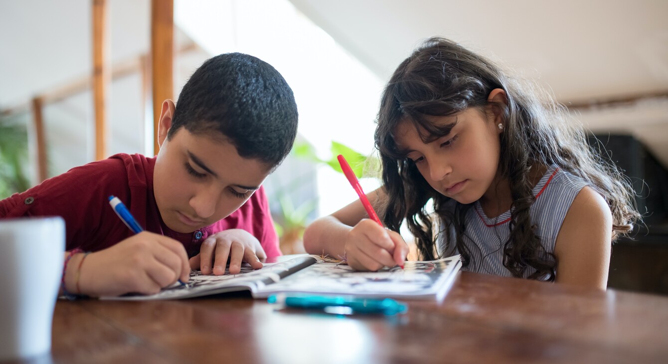 La Scolarité Des élèves Allophones Et Itinérants | Académie D'Orléans-Tours